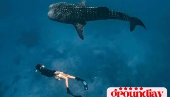 Hi Manta 福魟水水俱樂部 - 946台湾屏東縣恆春鎮中正路232巷101弄30之5號