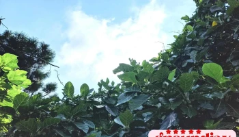 中程资讯顾问有限公司 - 台中市
