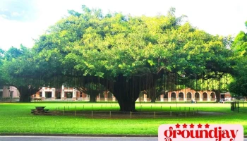 国立成功大学 - 台南市