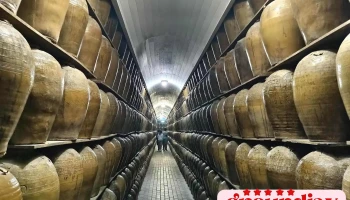 埔里酒厂展售中心 - 545台湾南投縣埔里鎮中山路三段219號