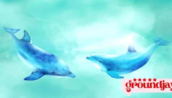 大聲平面設計-宜蘭公司/logo設計/商標設計/標誌設計/名片設計/傳單設計/海報設計/dm設計/菜單設計 - Taiwan