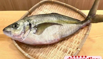 心和日本料理 (預約制) - 彰化縣彰化市