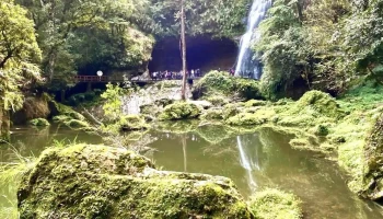 杉林溪森林生态渡假园区 - 557台湾南投縣竹山鎮溪山路6號