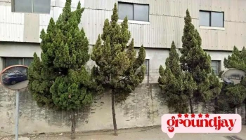 来络企业股份有限公司 - 彰化县 Changhua City