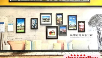 桃园区公所 - 桃园市桃園區