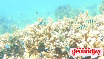 潮汐旅人CaptainWei｜領取潮汐海圖，難忘地探險正在等著你。 - 884044台湾澎湖縣白沙鄉