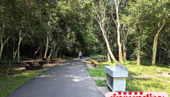 百吉林荫步道 - 桃園市