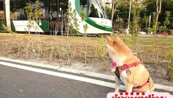 篱仔内站 - 高雄市前镇区