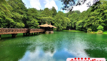 阿里山国家森林游乐区 - 605台湾嘉義縣阿里山鄉中正村 東59號