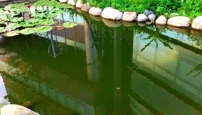 Da Xun Ke Ji Gu Fen You Xian Gong Si 促銷 - Taoyuan City, Bade District