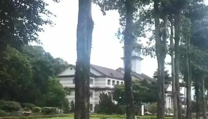 Fa Wu Bu Jiao Zheng Shu Tai Dong Jie Zhi Suo Shi Pin - Taitung County, Taitung City