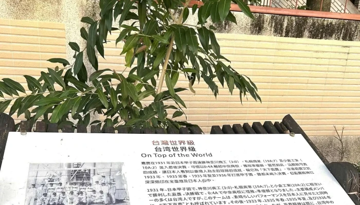 Guo Li Jia Yi Gao Ji Shang Ye Zhi Ye Xue Xiao 號碼 - Chiayi City, East District
