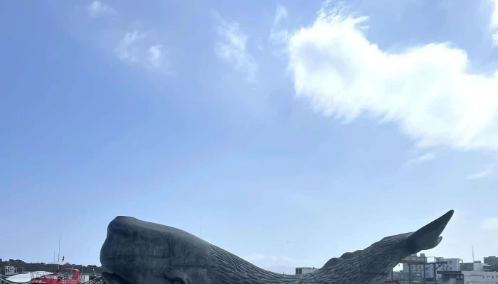 Hua Lian Hua Wei Shang Jing 观鲸旅行社 - Hualien County, Hualien City