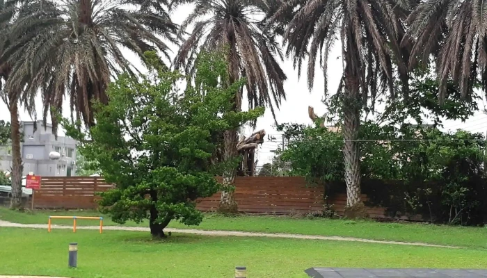 Hua Lian Shi Shu Wei Ji Hui Zhong Xin 區域 - Hualien County, Hualien City