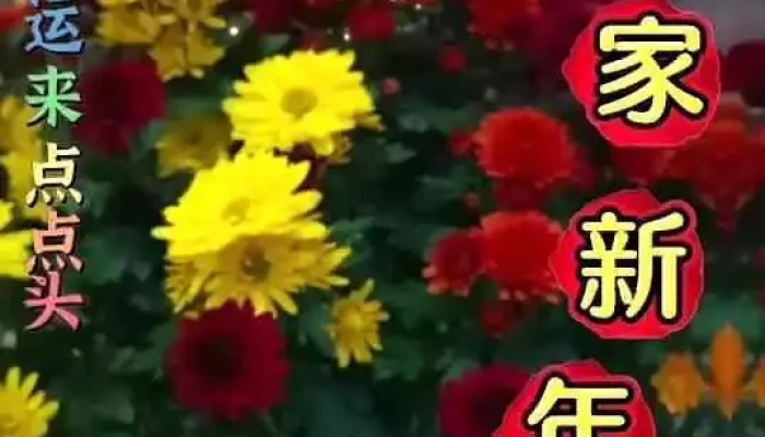 Jian Cheng Shu Wei Ke Ji You Xian Gong Si Shi Pin - Changhua County, Changhua City