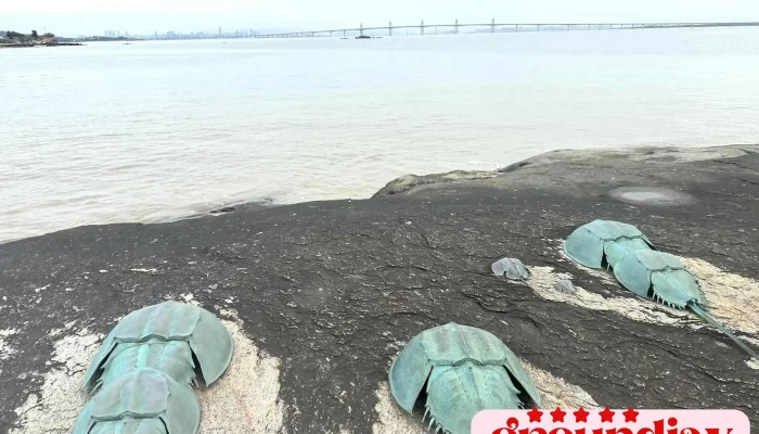 Jian Gong Yu Zui Xin - Kinmen County, Jincheng Township
