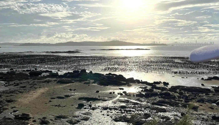 Jian Gong Yu 促銷 - Kinmen County, Jincheng Township