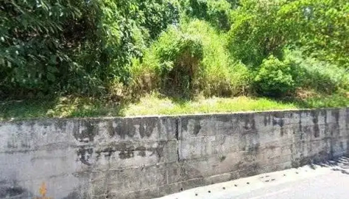 Kong Sheng Nan Che Ye Jie Jing He 360 Du Quan Jing Zhao - Taitung County, Taitung City