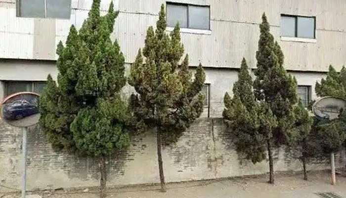 Lai Luo Qi Ye Gu Fen You Xian Gong Si Quan Bu - 彰化县 Changhua City