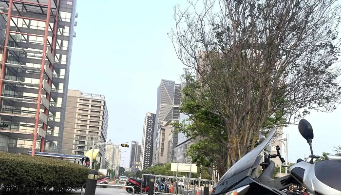 Ling Cheng Ke Ji Gu Fen You Xian Gong Si 软件公司 - Kaohsiung City, Cianjhen District