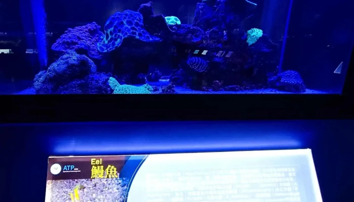 Nong Ye Ke Ji Yuan Qu Guan Shang Shui Zu Zhan Shi Ting 目錄 - Pingtung County, Changzhi Township