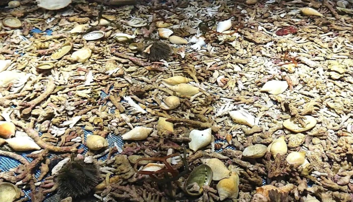 Peng Hu Xian Shui Chan Chong Miao Fan Zhi Chang 附近 - Penghu County, Magong City