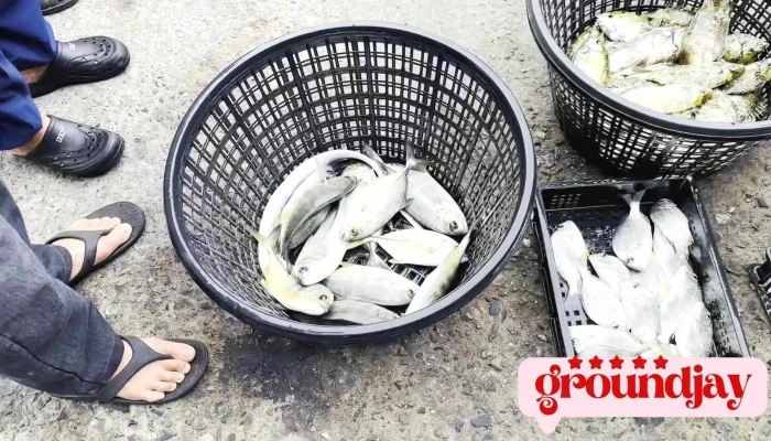 Suo Gang Yu Gang Shi Pin - Penghu County, Magong City