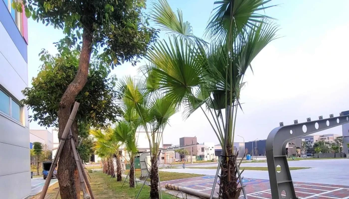 Tai Wan Ai De Ke Gu Fen You Xian Gong Si He Fa Gong Chang 制造商 - Kaohsiung City, Daliao District