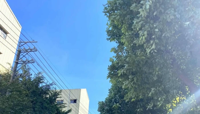 Tai Wan Jing Ji Gu Fen You Xian Gong Si 評分 - Taoyuan City, Pingzhen District