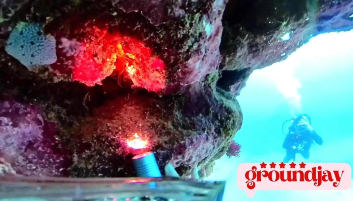 Tai Wan Qian Shui Heng Chun Dian Taiwan Dive Center Shi Pin - Pingtung County, Hengchun Township