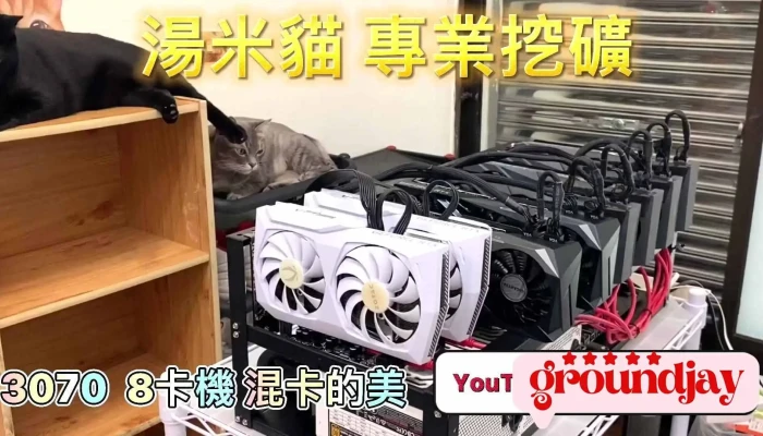 Tang Mi Mao Yu Yue Zhi Dian Nao Zi Xun Kuang Ji Zu Zhuang Shi Pin - Taichung City, Dali District