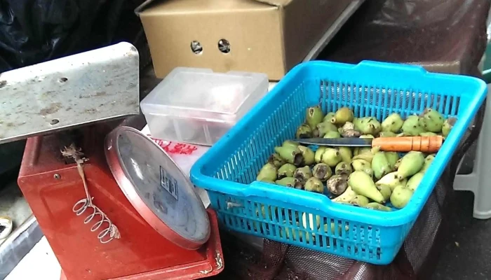 Tong Liang Gu Rong Instagram - 澎湖县白沙乡