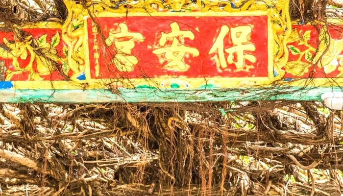 Tong Liang Gu Rong 號碼 - 澎湖县白沙乡