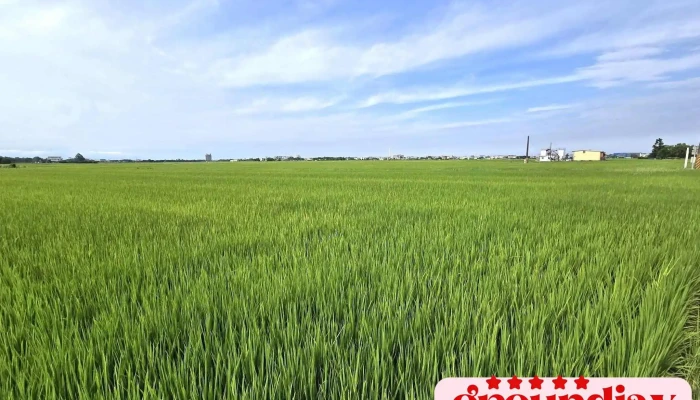 Yi Lan Dong Shan Bo Lang Da Dao Zui Xin - Yilan County, Dongshan Township
