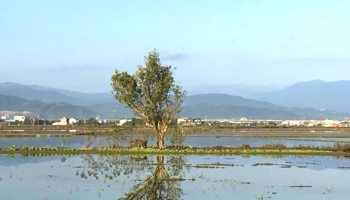 Yi Lan Dong Shan Bo Lang Da Dao 電話 - Yilan County, Dongshan Township