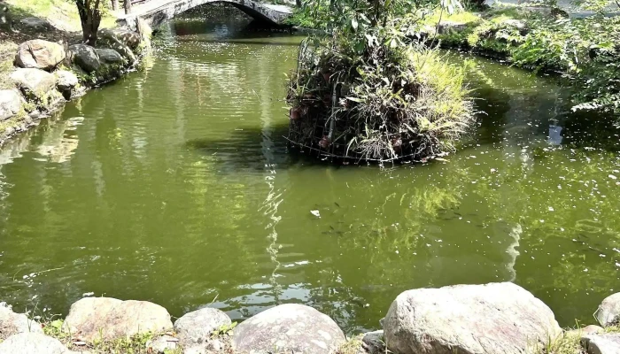 Yi Lan Ren Gu Shi Guan Qian Yi Lan Xian Yi Hui 評論 - Yilan County, Yilan City