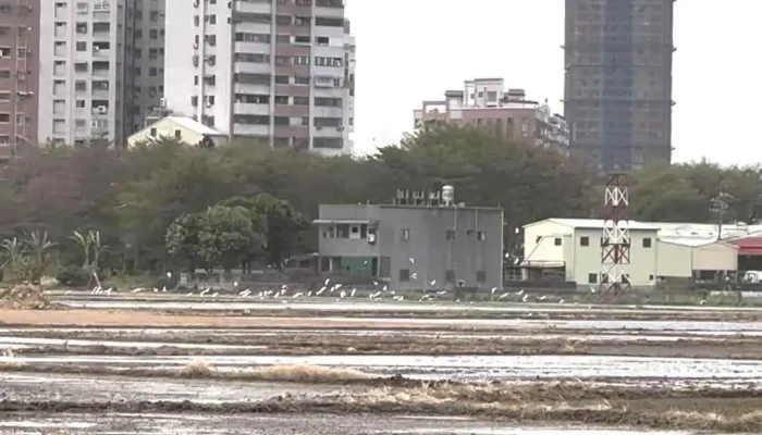 Zhong Yang Qi Xiang Shu Jia Yi Qi Xiang Zhan Shi Pin - Chiayi City, West District