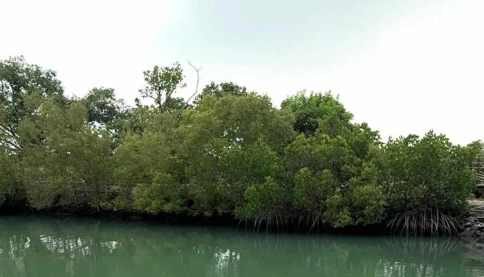 Dapeng Bay Scenic Area Administration -  哪裡 - Pingtung County, Donggang Township