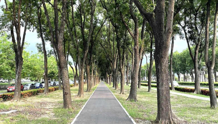 Fnet Co Ltd Chao Wei Lai Zi Xun You Xian Gong Si Shang Jia Shang Chuan - Chiayi City, West District