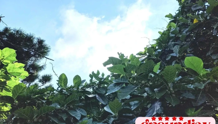 中程资讯顾问有限公司 - 台中市