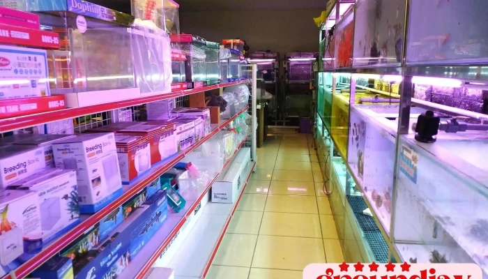 云林大大水族馆 - 雲林縣斗六市