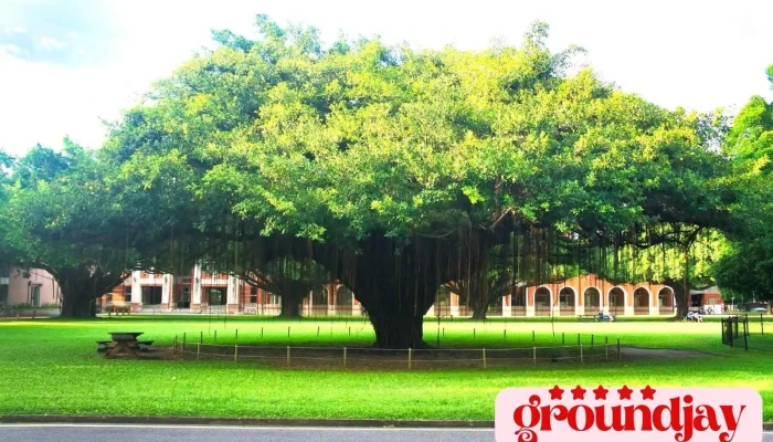国立成功大学 - 台南市