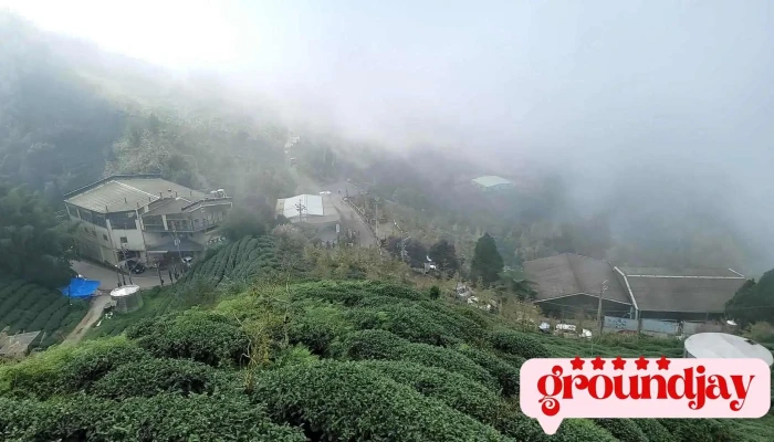 大仑山茶园观景台 - 558台湾南投縣鹿谷鄉羊灣巷800-1號