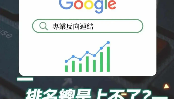 安佑国际seo顾问 - 台中市