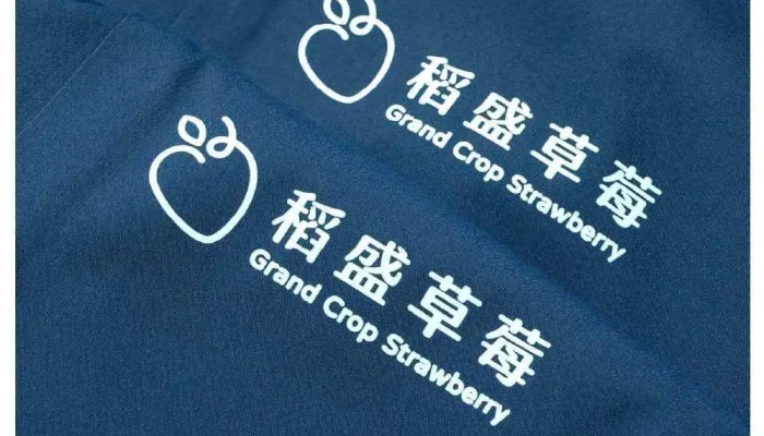 摩客定制 - Chiayi City, West District
