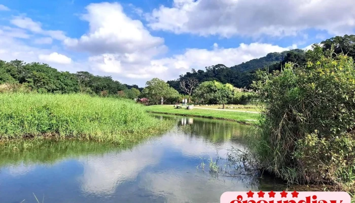 月眉人工湿地生态公园 - 桃園市