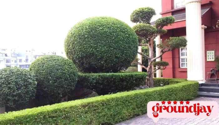 東茂園藝社/社區園藝維護樹木移植保養修剪草花灌木/社區報價 - Taoyuan City, Taoyuan District