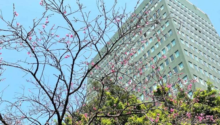 群輝商務科技 - Workstation, Rfid & Barcode Scanner - Taipei City, Zhongshan District